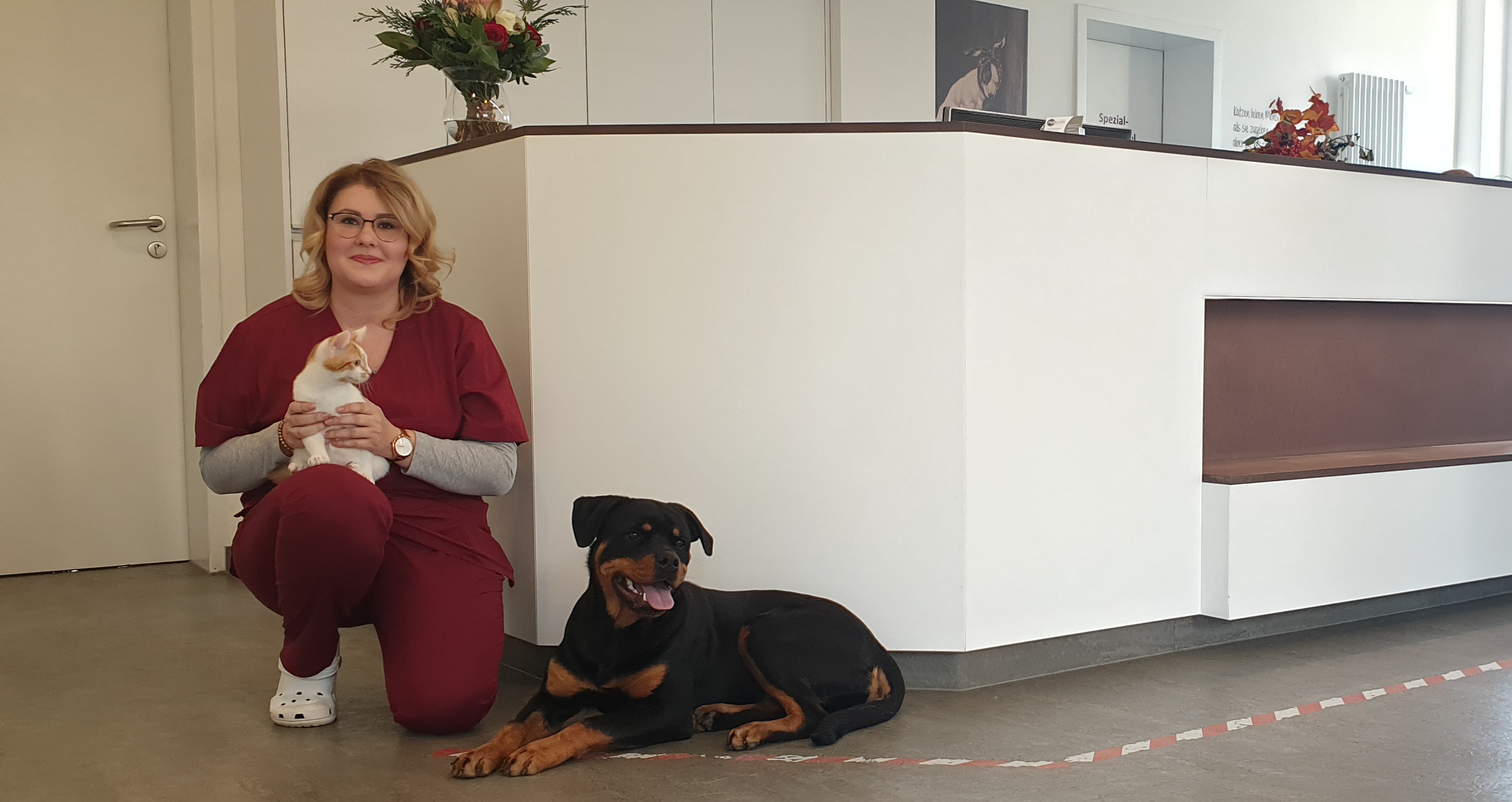 Teaserbild Tages-Tierklinik Wittenberg